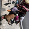 άλογο
