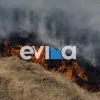 φωτιά
