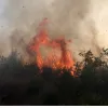 Φωτιά στα Δερβενοχώρια