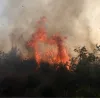 Φωτιά στα Δερβενοχώρια