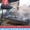pirosvestiki