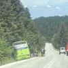 leoforeio