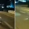αμαξιδιο