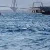 ριο συναγερμός