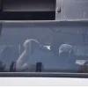 Νέα Φιλαδέλφεια