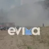 φωτια ευβοια