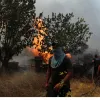 φωτιά Φυλή