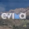 Φωτιά στην Εύβοια