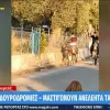 Ανήλικοι μαστιγώνουν γαϊδουράκια