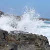 vraxia
