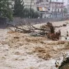 karditsa