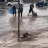 kataigida