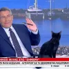 Μαύρη γάτα με Παυλόπουλο
