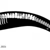Perucetus_colossus_Holotype_skeletal_drawing
