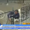 Η στιγμή που πρόεδρος χωριού σώζει σκυλάκι που έχει εγκλωβιστεί σε καγκελόπορτα