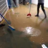 πανεπ θεσσαλιας
