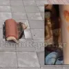 μαθήτρια τραυματισμός