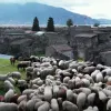 provata
