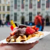 belgium_trips