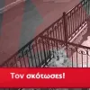 ρομα