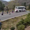 ελμε ευβοιας
