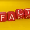 fake