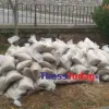 Σακιά με αλάτι