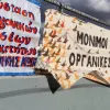 Θεατρολόγοι, εικαστικοι