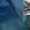 Μαχητικό αεροσκάφος
