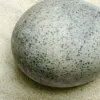 avgo