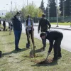 εκπα δενδροφυτευσεις