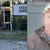 Δολοφονία στα Τρίκαλα