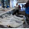 μπακαλιάρος