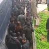 συλλήψεις ΑΠΘ