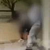 patra_ksilodarmos