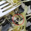 Βίδα σε γεύμα από φοιτητική λέσχη