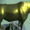 βασανιστηριο