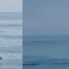 Φαινόμενο Ολλανδού
