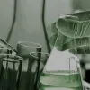 Χημεία