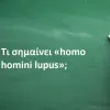 Homo homini lupus