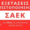 saek