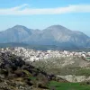 ανι