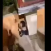 παιδι