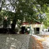 eurutania