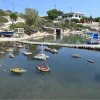 arkioi