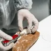 narkotika kokaini
