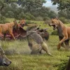 dire_wolf