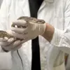 Βρέθηκε μεγάλο φίδι σε σχολείο στα Πατήσια