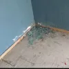 γυαλιά