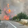 Φωτιά στη Στυλίδα